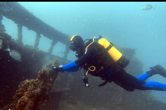 Portimão: Wreck Diving in the Ocean Revival Park - Who Should Book This Tour?