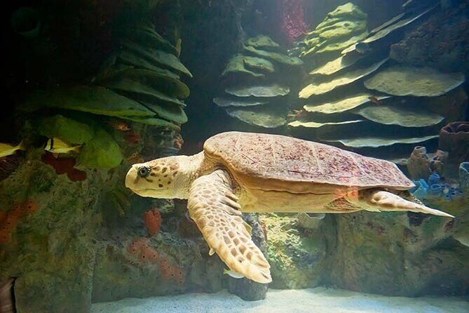 Portland Acadia National Park 3-Day Tour from Boston MA - In-Depth Look at the 3-Day Maine Coastal Tour