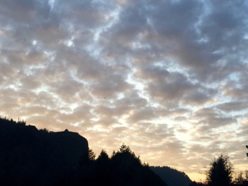 Portland: Columbia River Gorge 3-Hour Small Group Tour - Authentic Traveler Perspectives