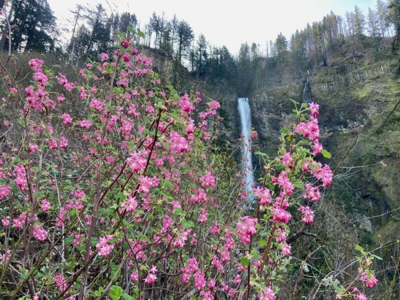 Portland: Columbia River Gorge Waterfalls Hike & Bike Tour - The Itinerary and What You Can Expect