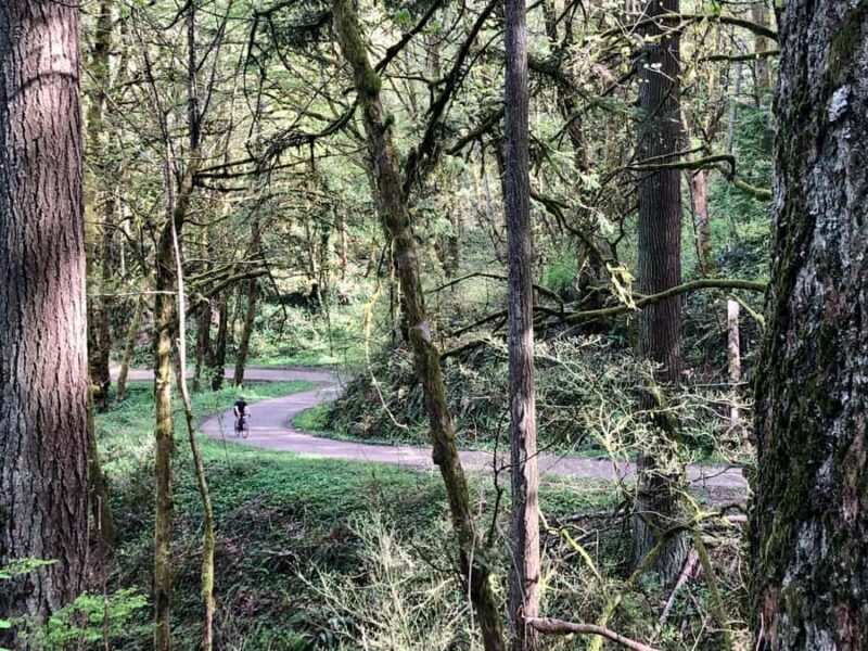 Portland: Forest Park Bike or E-Bike Tour - Key Points