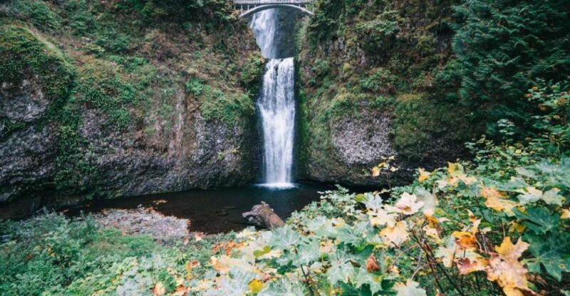 Portland: Mt. Hood Day Tour - The Experience in Practice