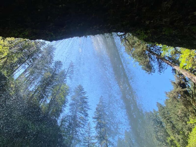 Portland Oregon: Silver Falls State Park Waterfall Hike - Who Will Love This Tour?