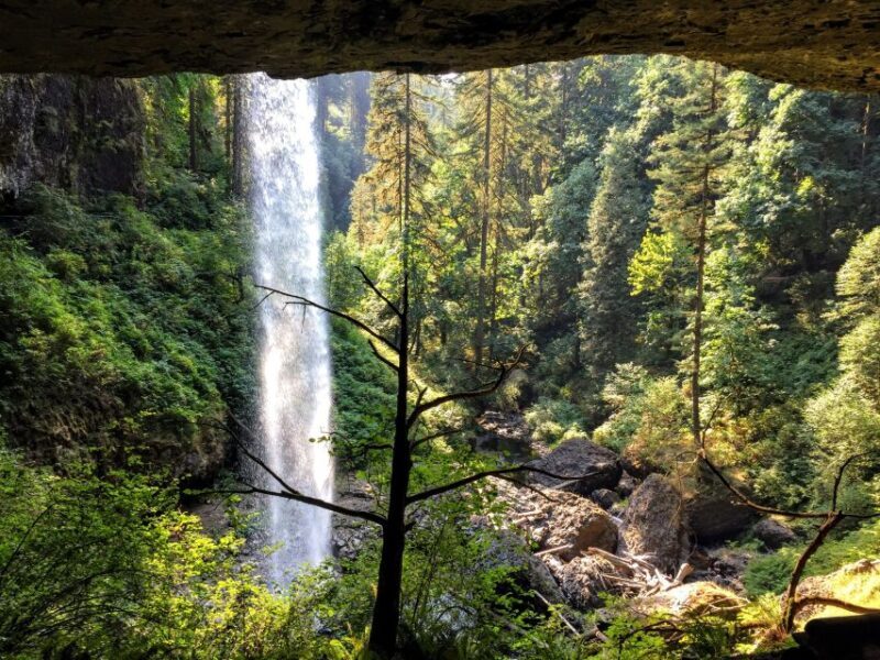 Portland: Silver Falls Hike - Key Points
