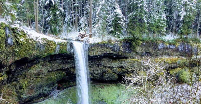 Portland: Silver Falls Hike - A Closer Look at the Tour Experience