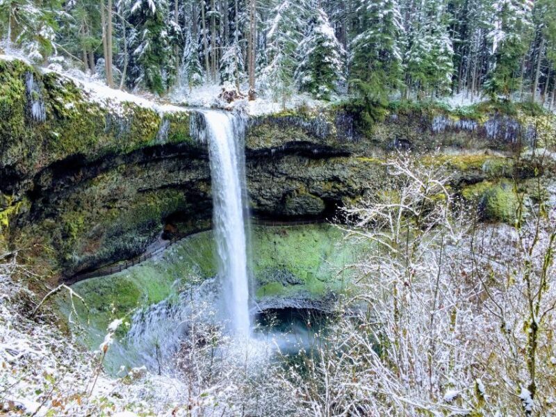 Portland: Silver Falls Hike - Who Would This Tour Suit Best?