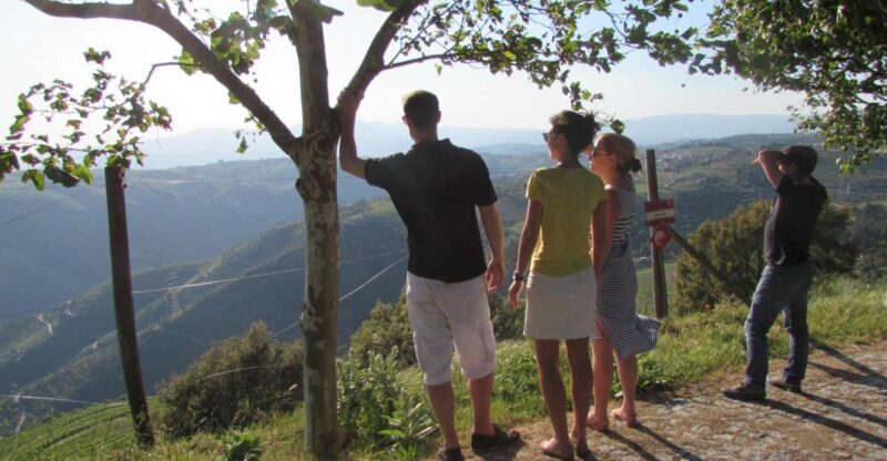 Porto: 3 Douro Valley Vineyards Tour with Lunch - A Deep Dive into the Experience