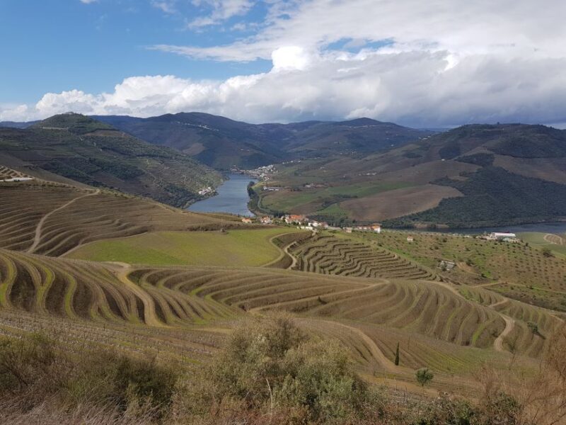 Porto: 3 Douro Valley Vineyards Tour with Lunch - FAQ