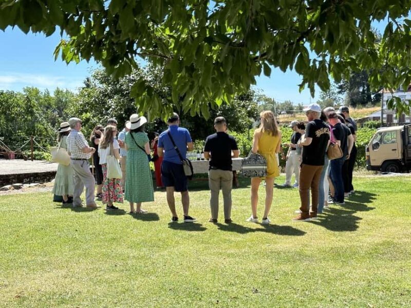 Porto: 3 Wine Regions & Farm Lunch with Views Small-Group - Why Choose This Tour?