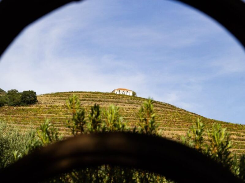 Porto: 3 Wine Regions & Farm Lunch with Views Small-Group - FAQ