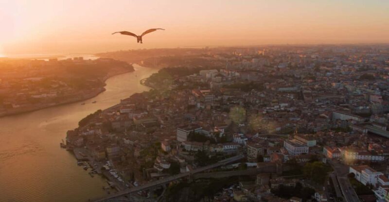 Porto: 5D Flight over de City for all family. - A Closer Look at the Experience