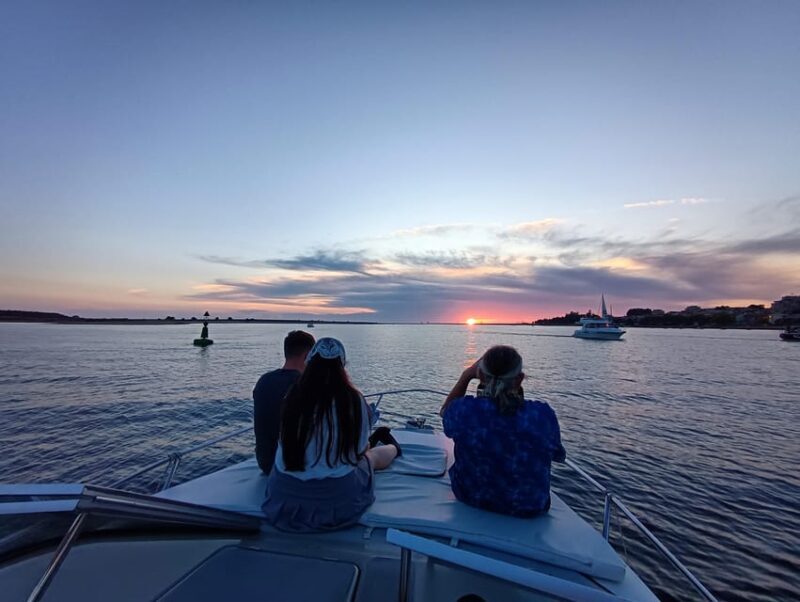 Porto: 6 Bridges and Ribeira Boat Tour with Sunset Option - Who Should Book This Tour?