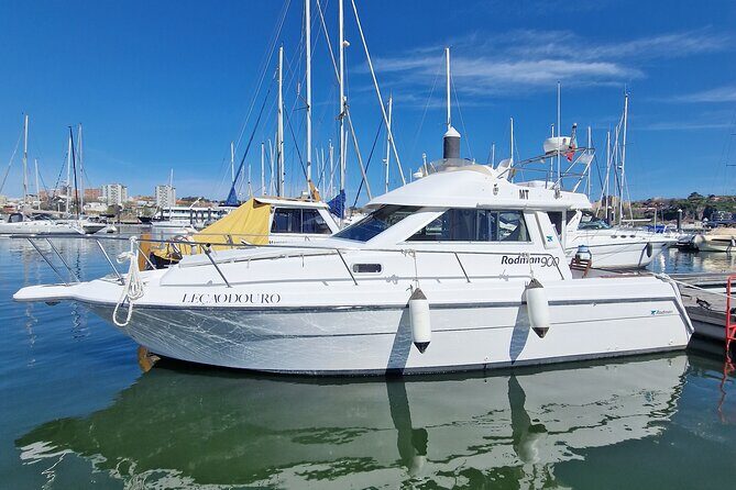 Porto: 6 bridges tour, Douro river with 4 Port Wine tasting - A Deep Dive Into the Experience