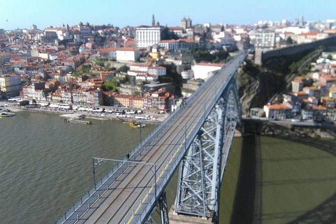 Porto and its charms - Tour from Lisbon - Transportation & Comfort