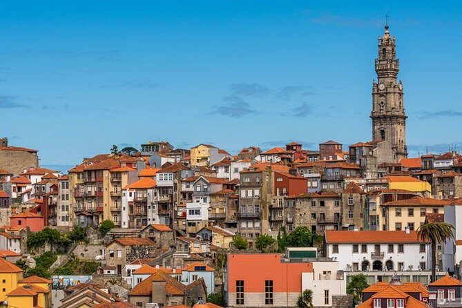 Porto and its charms - Tour from Lisbon - Pricing & Value