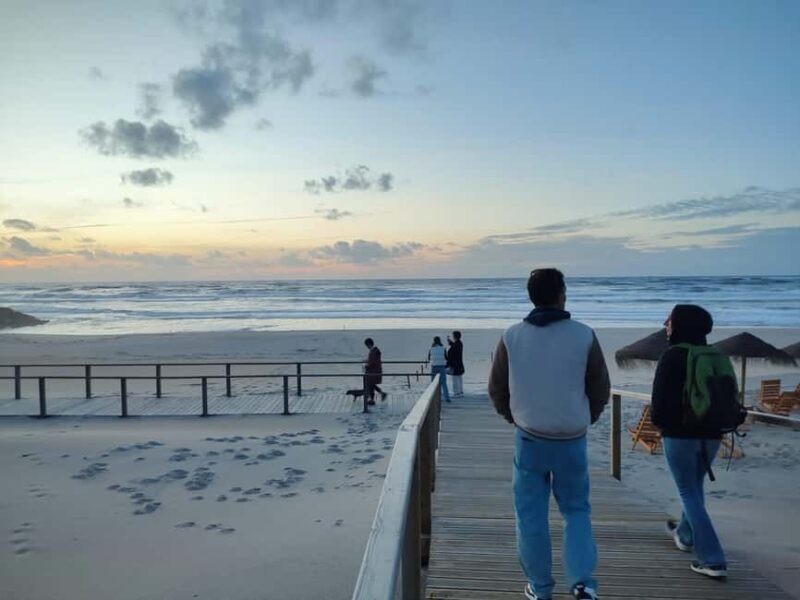 Porto: Aveiro Small-Group Half Day Tour - Key Points