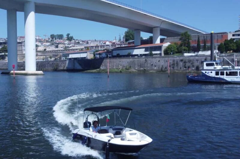 Porto: Boat Cruise with Port Wine Tasting - Exploring the Douro from Porto: What to Expect