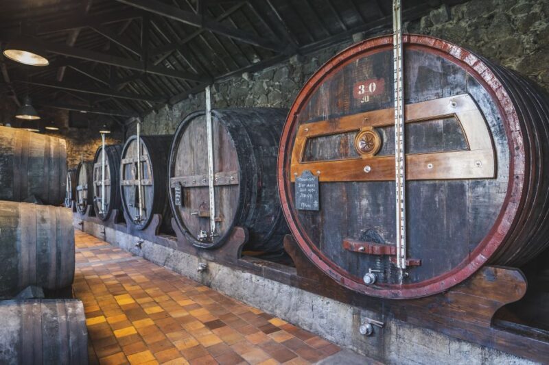 Porto: Burmester Cellar Tour with Tasting & Pairing Options - An In-Depth Look at the Burmester Cellars Tour