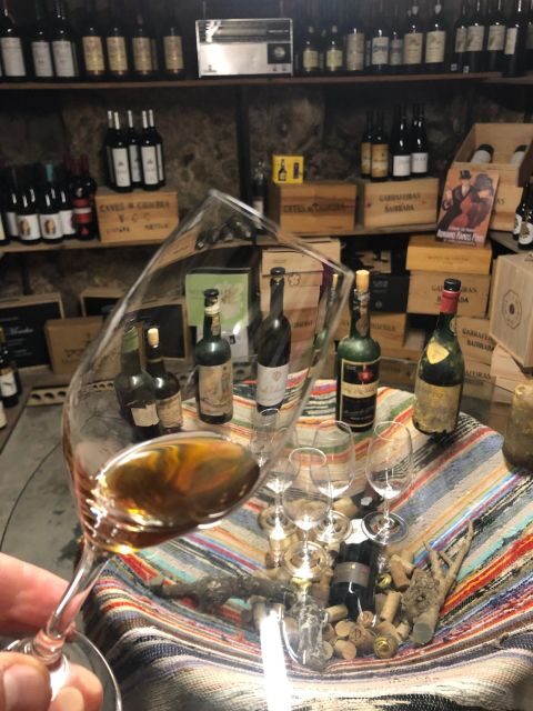 Porto: Cheese and Port Wine Tasting in a Unique Place - Practical Details and Tips