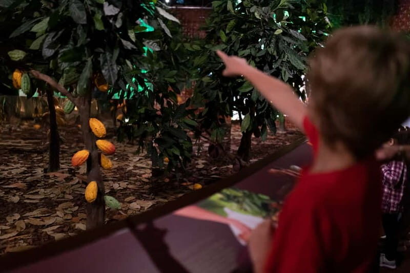 Porto: Chocolate Museum - Unwrap the Secrets of Chocolate - FAQ