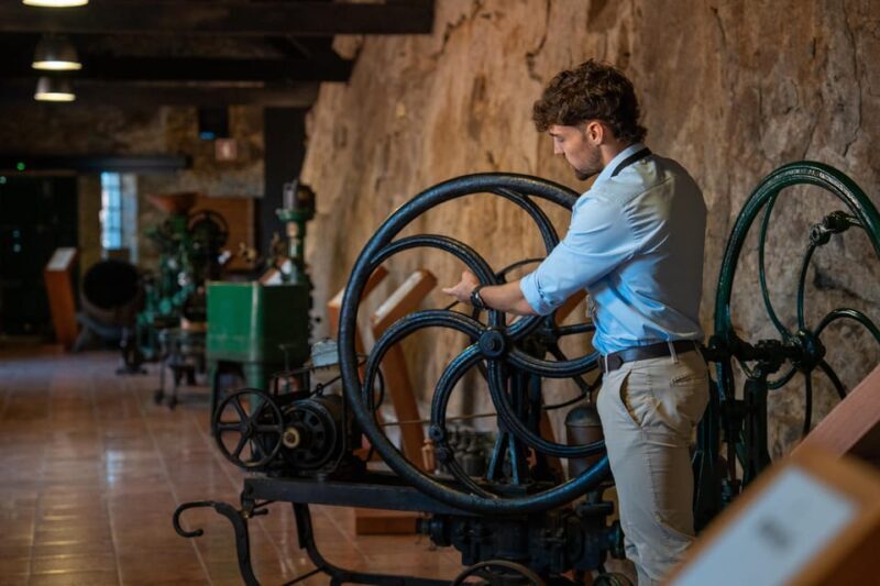 Porto City Full Day Minibus Tour, Wine Tasting & Six Brigdes - Key Points