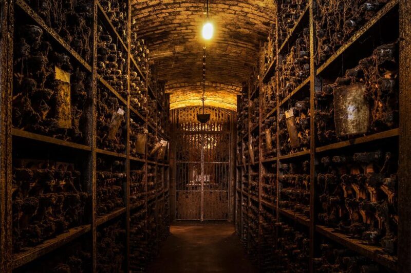 Porto: Classic Tour at Real Companhia Velha - A Closer Look at the Experience