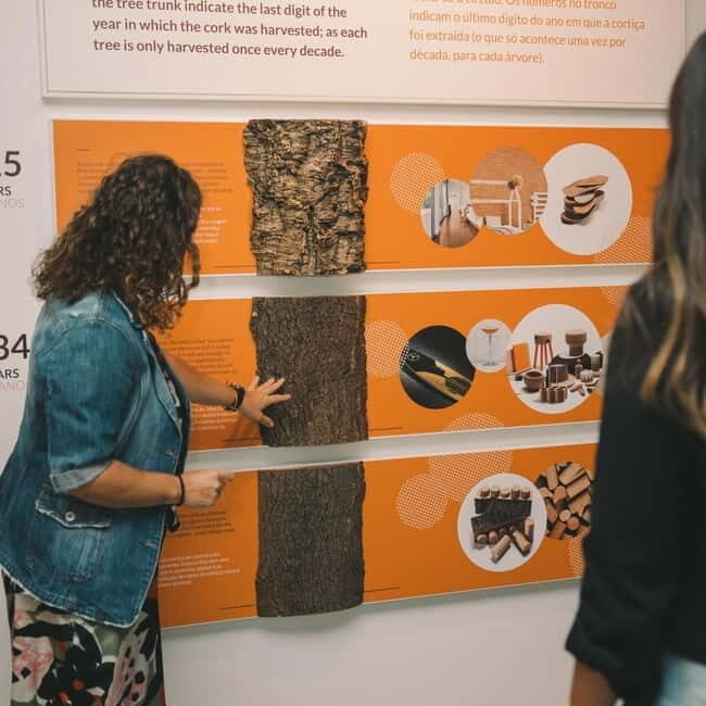 Porto: Cork Museum: Immersive and Perfect for Families - What the Reviews Say