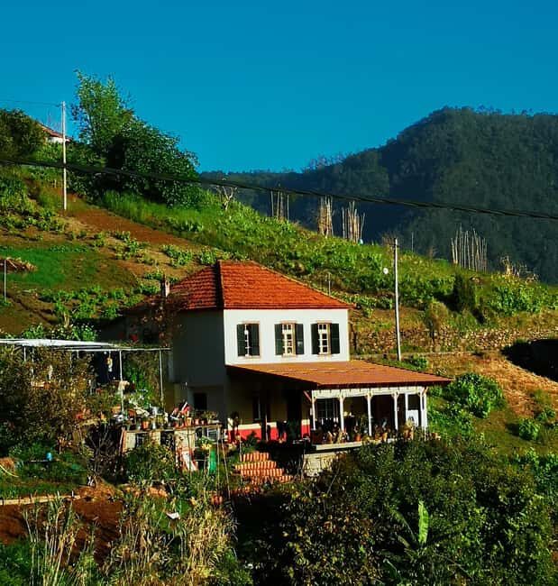 Porto da Cruz: Japanese Foot Bath and Reflexology Session - Who Will Love This Tour?