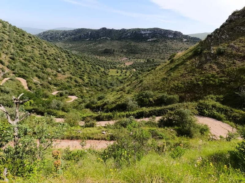 Porto de Mós: Fórnea Valley E-Bike Tour - Why This Tour Offers Great Value