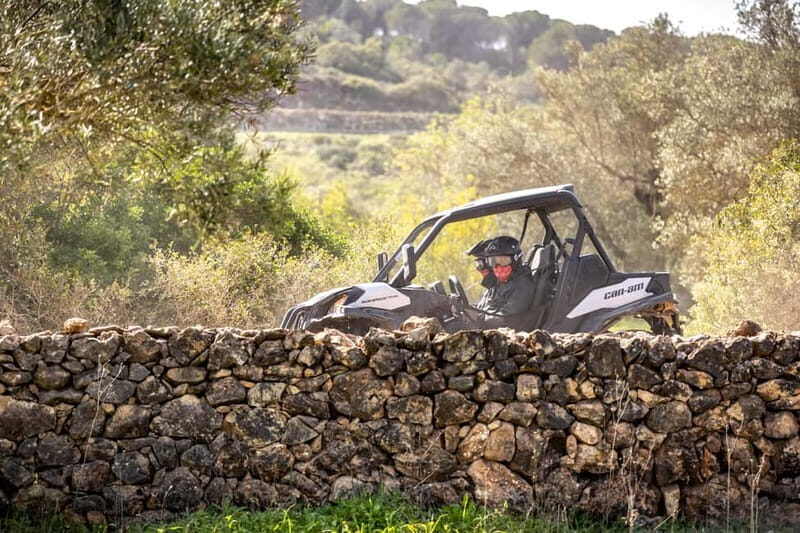 Porto: Dirt and Dust Tour by Oporto Buggy - Final Thoughts