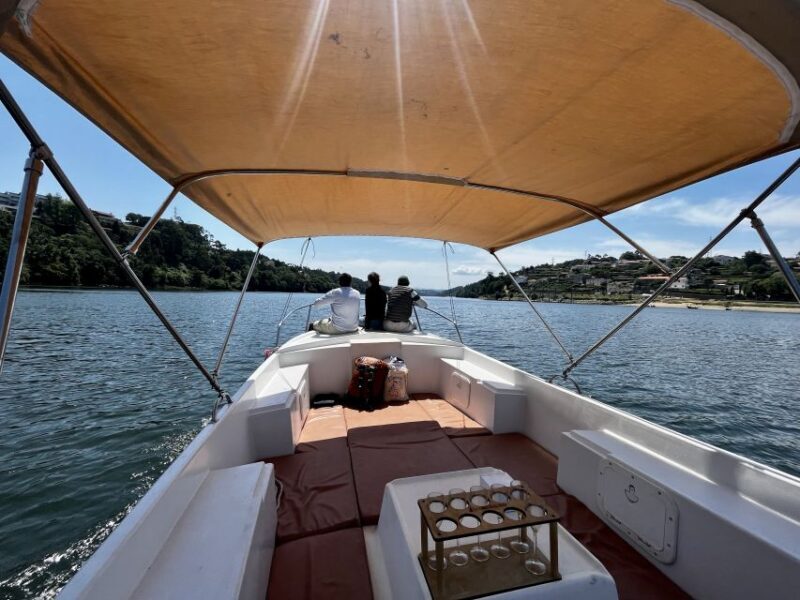 Porto: Douro River Boat Cruise with Port Wine Tasting - The Wine Tasting Experience