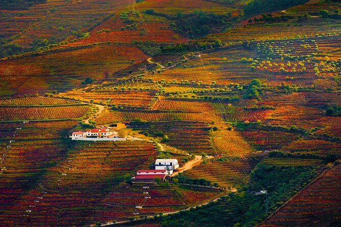 Porto: douro valey, 2 Wine regions, Sommelier, boat trip & lunch - FAQ