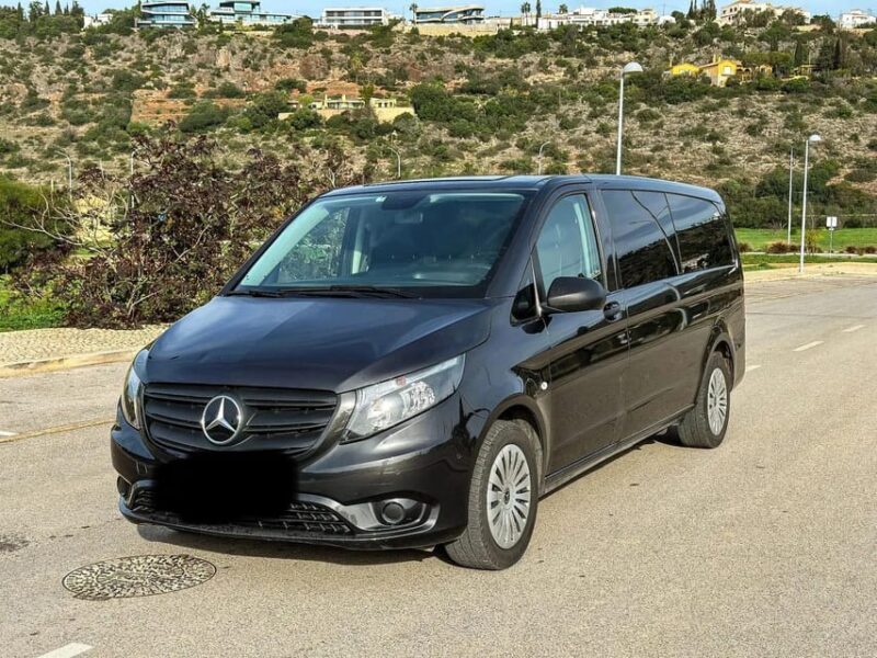 Porto: Douro valley 2 farms with wine tasting and lunch - Exploring the Douro Valley in Depth