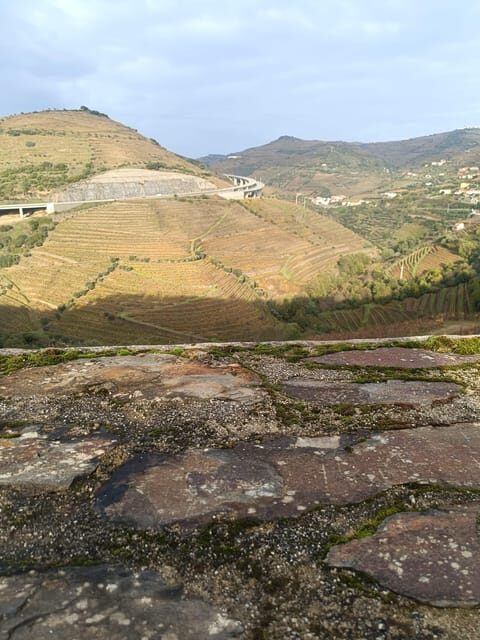 Porto: Douro valley 2 farms with wine tasting and lunch - Who Is This Tour Best Suited For?
