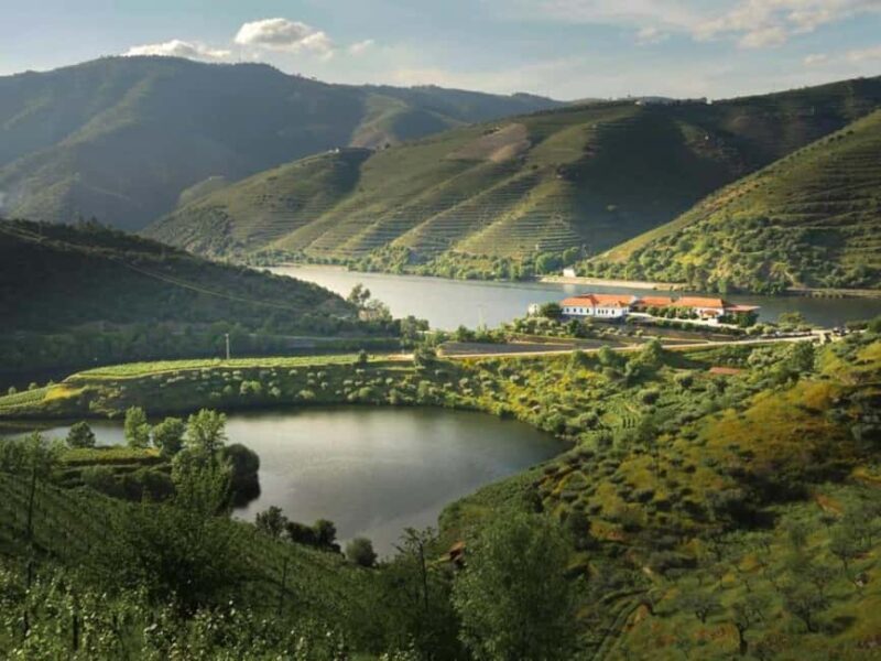 Porto: Douro Valley 2 Wineries, Tastings, Lunch & Boat Tour - FAQs