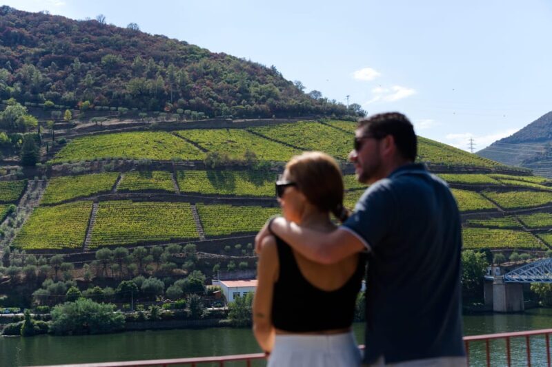 Porto: Douro Valley & Amarante Wine, Food & River Tour - A Deep Dive into What You Can Expect