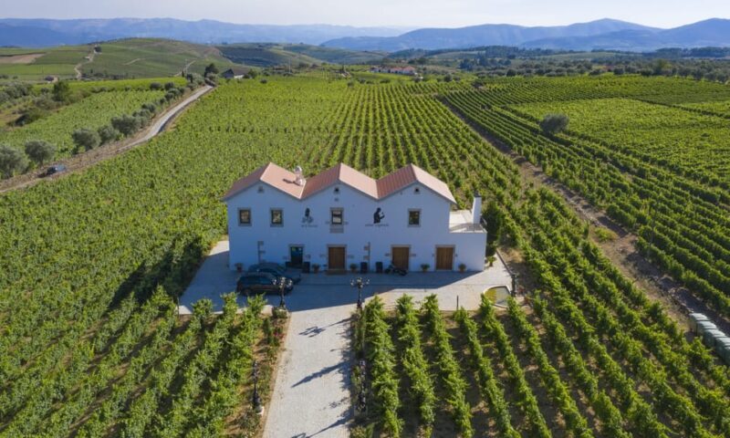 Porto: Douro Valley Day Trip with Lunch and Favaios Village - Who Will Love This Tour?