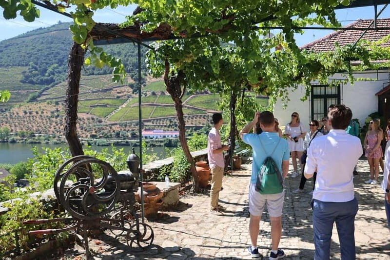 Porto: DOURO VALLEY Half-day Tour - Practical Details and Tips