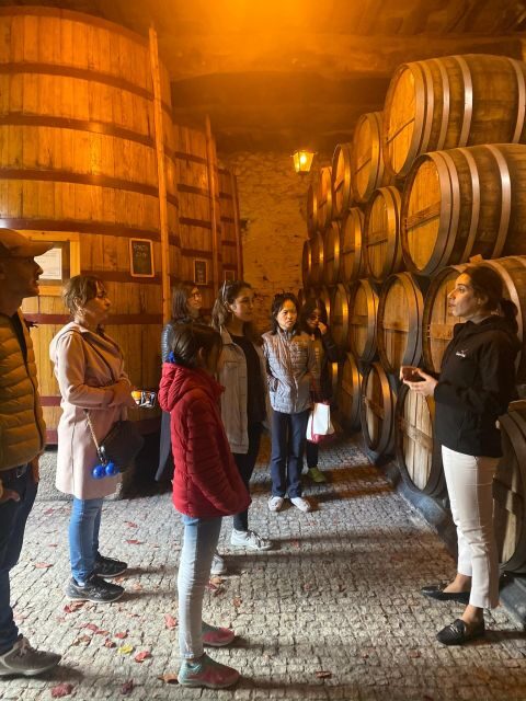 Porto: DOURO VALLEY Half-day Tour - Authentic Insights from Past Travelers