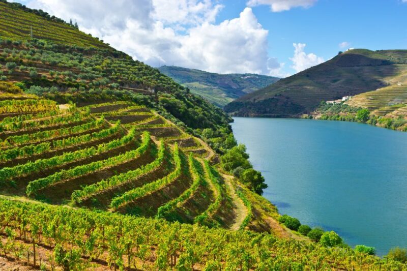 Porto: Douro Valley History & Wine Tour with Cruise & Lunch - Why This Tour Is Worth Considering
