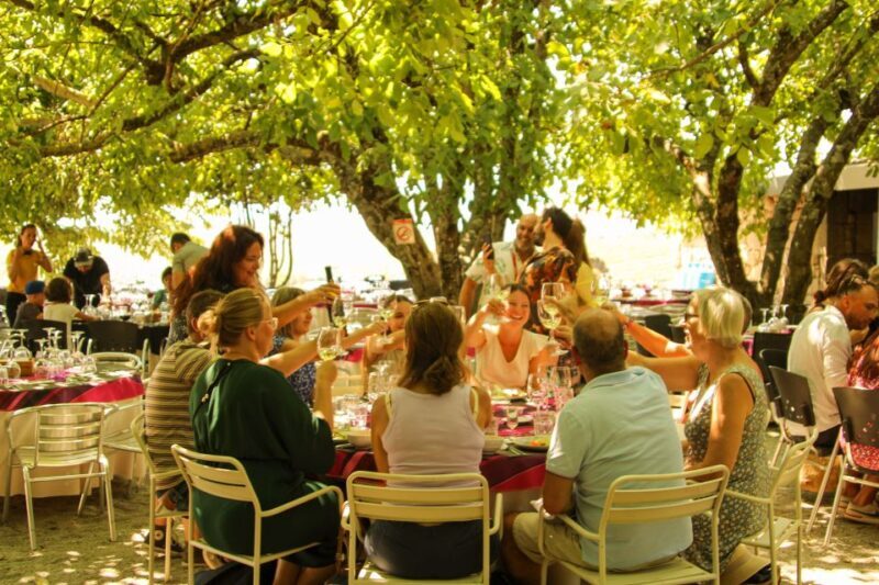 Porto: Douro Valley History & Wine Tour with Cruise & Lunch - FAQ