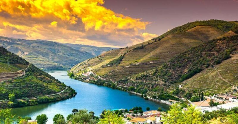 Porto: Douro Valley Private Full-Day Tour - A quick look at the experience