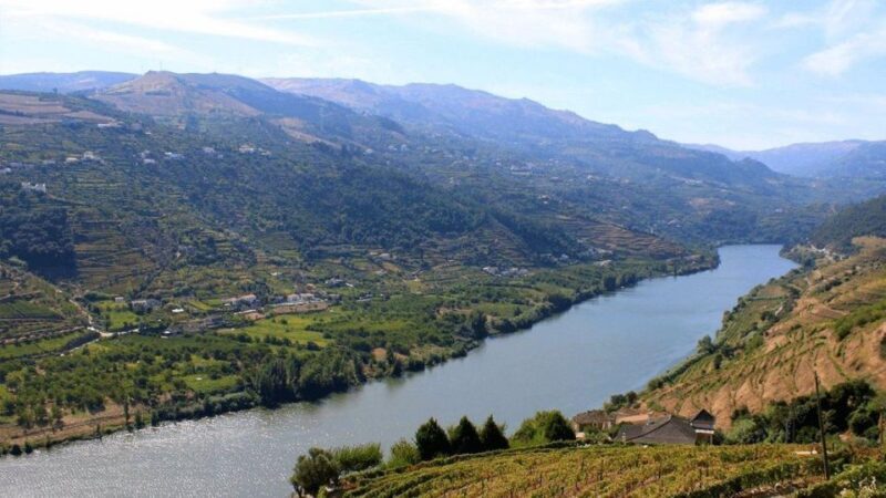 Porto: Douro Valley Private Full-Day Tour - The Sum Up