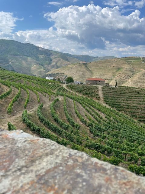 Porto: Douro Valley Private Tour 2 Vineyards & River Cruise - A Deep Dive into the Douro Valley Private Tour Experience