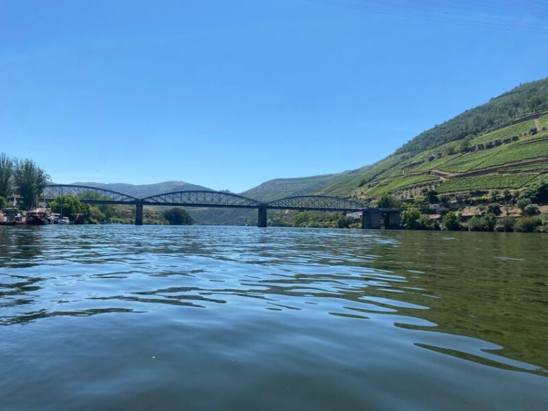 Porto: Douro Valley Private Tour 2 Vineyards & River Cruise - Who Will Love This Tour?