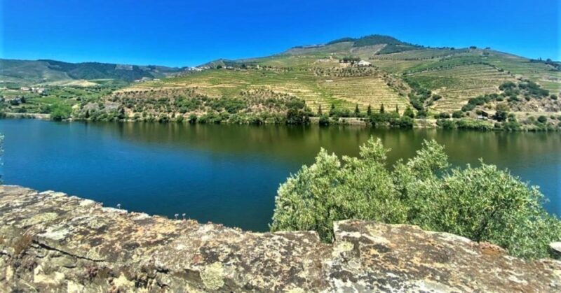 Porto: Douro Valley Private Tour 2 Vineyards & River Cruise - FAQ