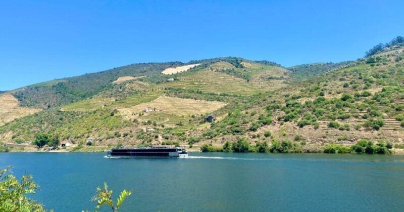 Porto: Douro Valley Private Tour 2 Vineyards & River Cruise - Final Thoughts