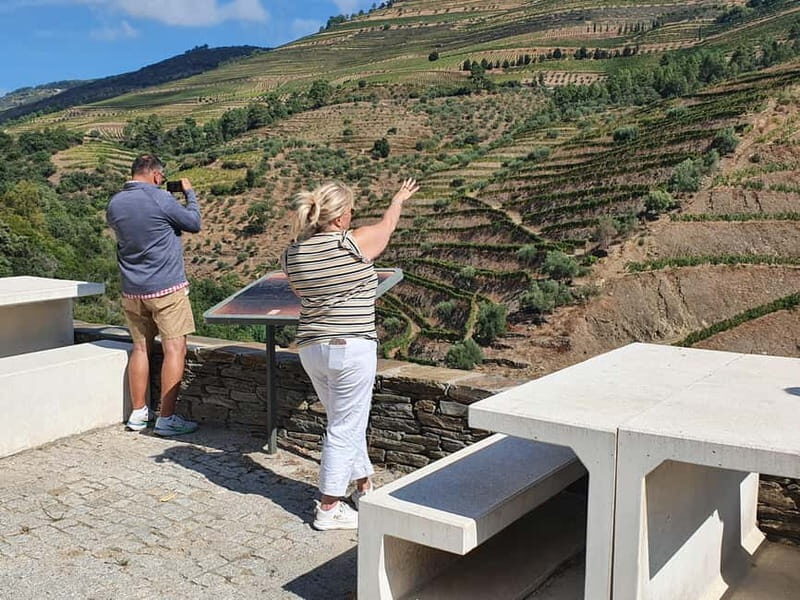 Porto: Douro Valley Private Tour with Winery Visit & Lunch - An In-Depth Look at the Douro Valley Private Tour