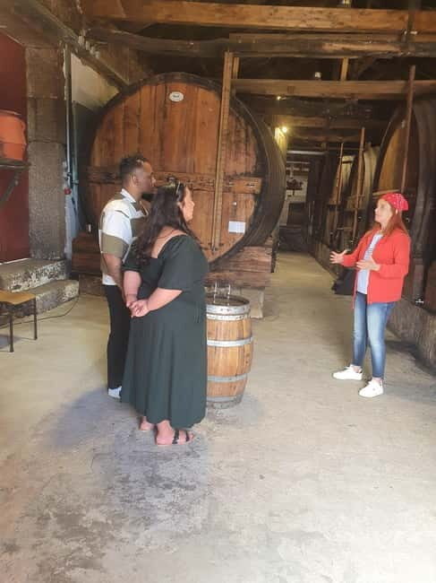 Porto: Douro Valley Private Tour with Winery Visit & Lunch - Who Will Love This Tour?