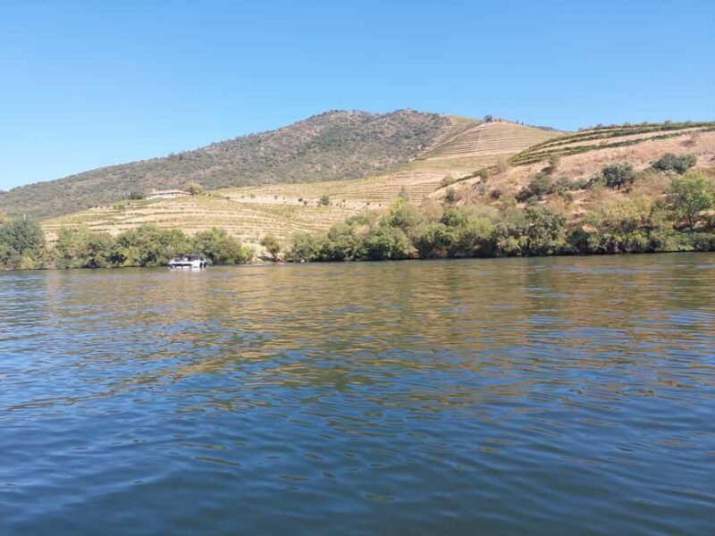 Porto: Douro Valley Tour by Private Car - Key Points